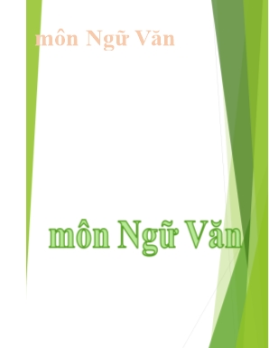 Bộ đề ôn thi học sinh giỏi Ngữ văn Lớp 6 - Soạn theo cấu trúc mới - Nguyễn Lý Tưởng